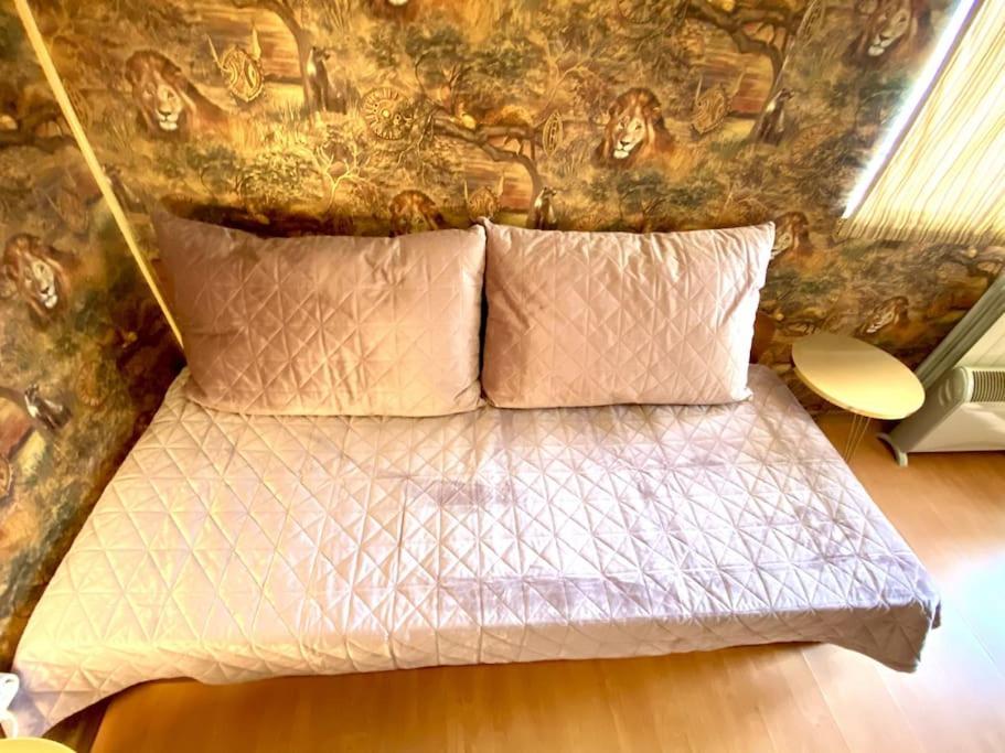 Guest With Living Room, Dining And Kitchen Next To Center Apartament *